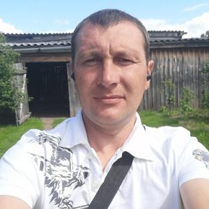 Антон, 36 лет, Томск