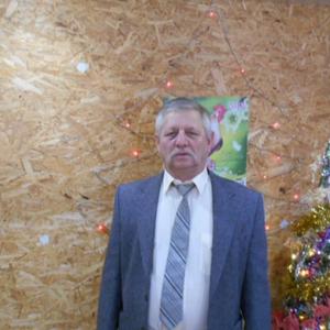 Вячеслав Лаптев, 69 лет, Самара