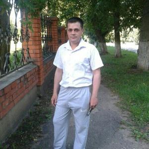Михаил, 35 лет, Белев
