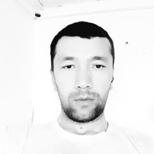Jasurbek Xoshimov, 28 лет, Санкт-Петербург