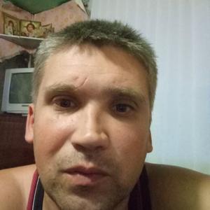 Михаил, 41 год, Суздаль