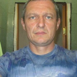Сергей, 46 лет, Губкин