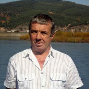 Владимир Дубовик, 72 года, Хилок