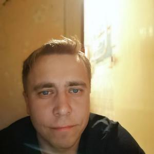 Сергей, 43 года, Покров