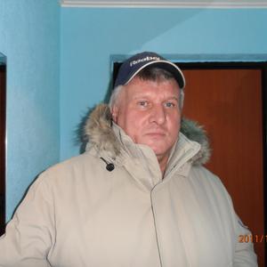 Анатолий Дорошко, 65 лет, Вологда