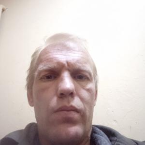 Андрей, 44 года, Зеленогорск