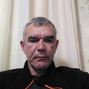 Андрей Суриков, 47 лет, Правдинск
