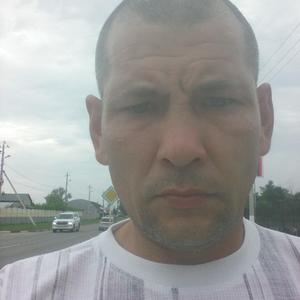 Алексей, 44 года, Сасово