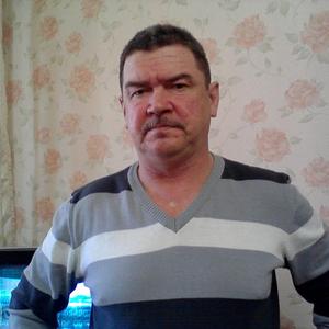 Александр Павлов, 65 лет, Пыть-Ях