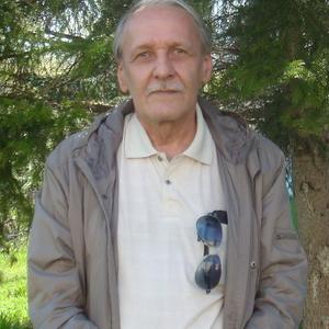 Валерий, 68 лет, Зеленогорск