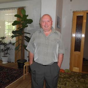 Владимир, 71 год, Лабинск