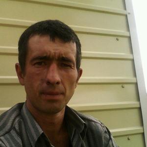 Андрей, 49 лет, Свободный