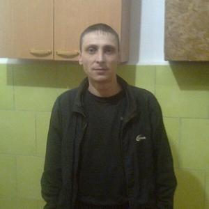 Ilya, 42 года, Екатеринбург