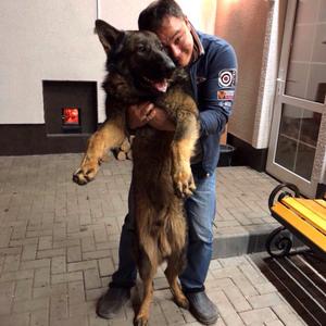 Парни в Саратове: Серый Волк, 39 - ищет девушку из Саратова