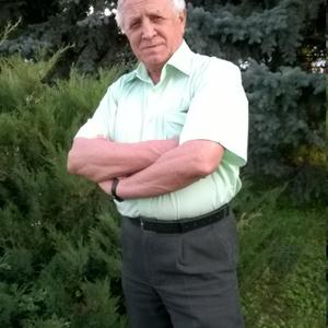 Александр, 68 лет, Волгоград