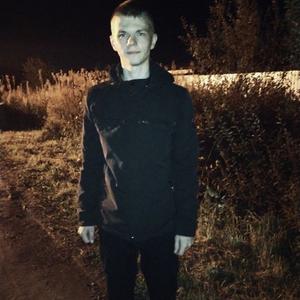 Илья, 20 лет, Архангельск