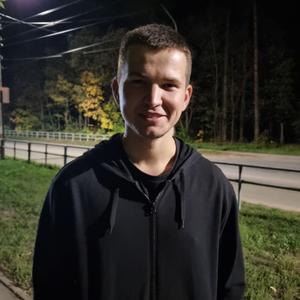 Вадим, 27 лет, Димитровград