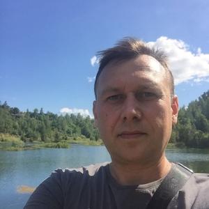 Роман, 51 год, Дмитров