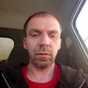 Дмитрий, 35 лет, Воронеж