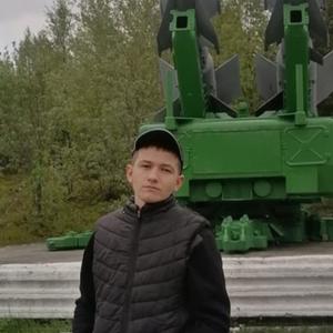 Ali, 24 года, Мурманск