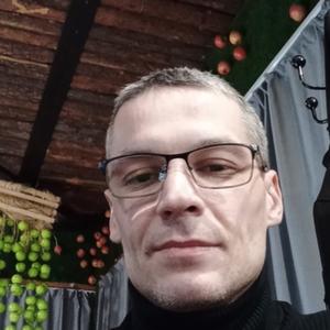 Парни в Мончегорске: Олег, 41 - ищет девушку из Мончегорска