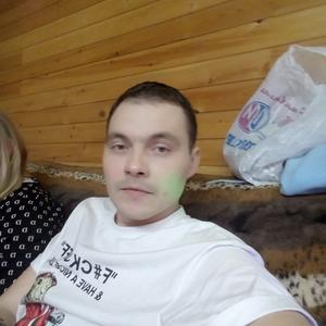 Парни в Людиново: Сергей, 33 - ищет девушку из Людиново
