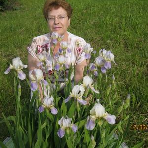 Valentina, 72 года, Нижний Новгород