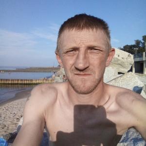 Алексей, 40 лет, Светлогорск