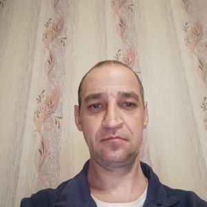 Юрий, 44 года, Екатеринбург
