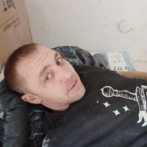Роман, 31 год, Новосибирск