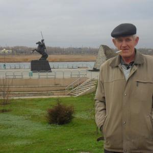 Петр Медведев, 70 лет, Михайловка