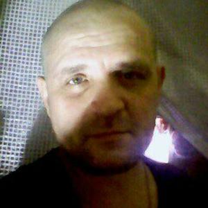 Денис, 44 года, Кострома