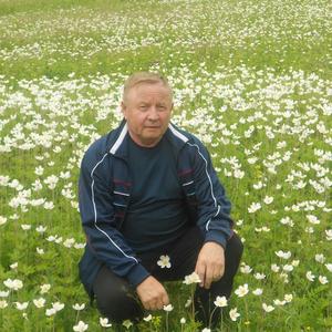 Евгений, 67 лет, Иркутск