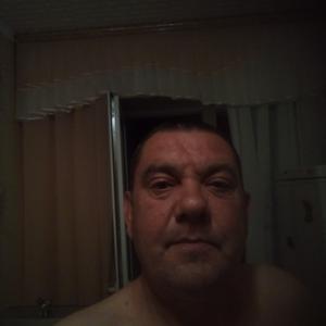 Алексей, 45 лет, Луховицы