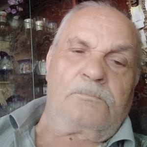 Парни в Казани (Татарстан): Владимир, 73 - ищет девушку из Казани (Татарстан)