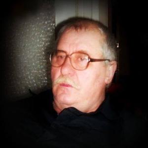 Леонид, 76 лет, Сегежа