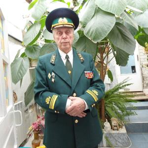 Владимир, 84 года, Ессентукская