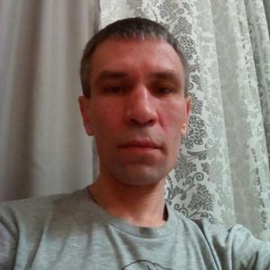 Дмитрий, 46 лет, Ивантеевка