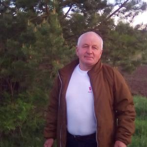 Анатолий, 69 лет, Ярославль