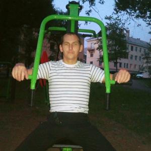 Андрей, 44 года, Бокситогорск