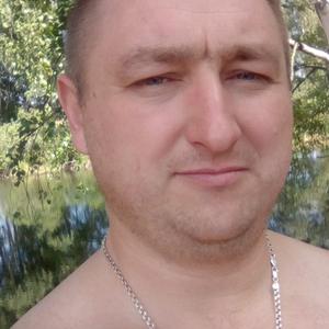Владимир, 42 года, Лобня