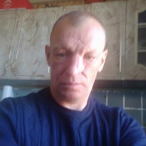 Вадим, 44 года, Вельск