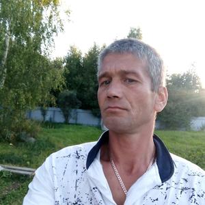 Александр, 44 года, Нижний Новгород