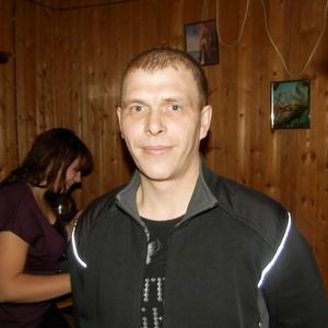 Александр, 43 года, Соликамск
