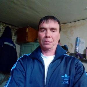 Анатолий Сидоров, 50 лет, Березники