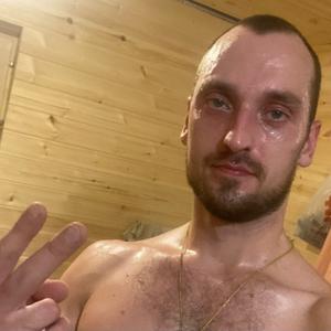 Николай, 34 года, Боровский