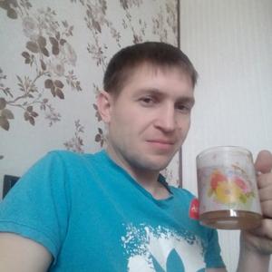 Артем, 38 лет, Череповец