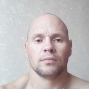 Николай, 44 года, Шумерля