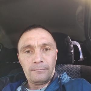 Дмитрий, 43 года, Менделеевск