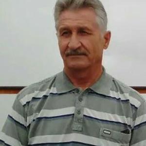 Александр Исаков, 66 лет, Омск